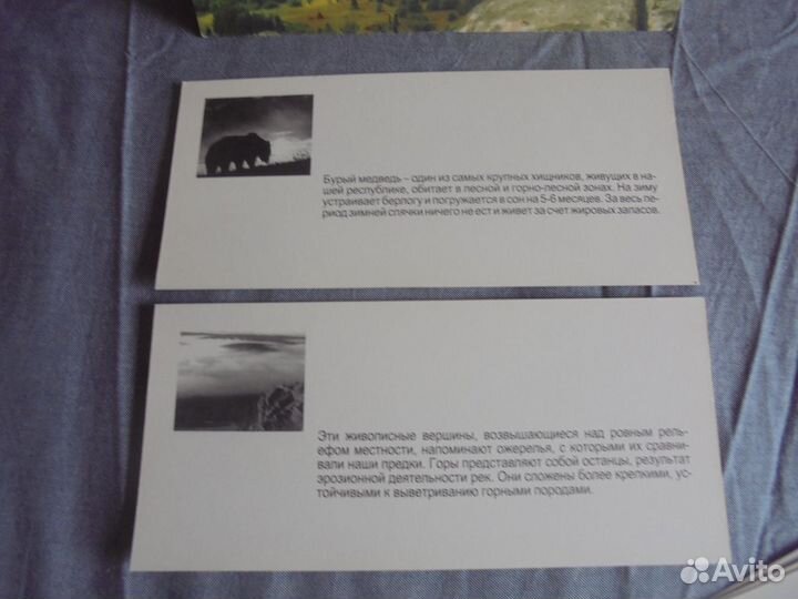 Красота моего Урала Белая река 21 х 10 см 12 шт