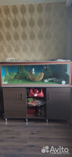 Террариум для рептилий