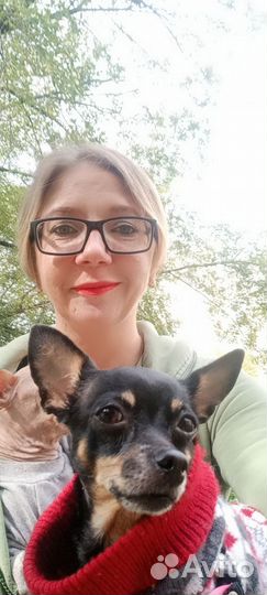 Домашняя передержка