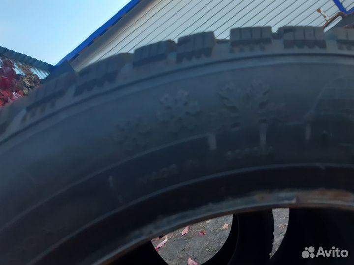 Tigar Ice 20.5/65 R32