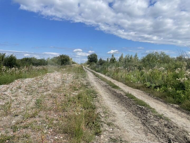 Участок 10 сот. (СНТ, ДНП)