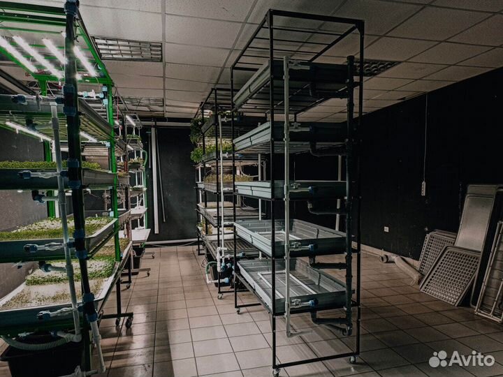 Стелажи под микрозелень