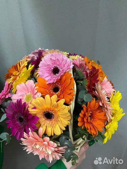 Букет из 31 герберы в корзине
