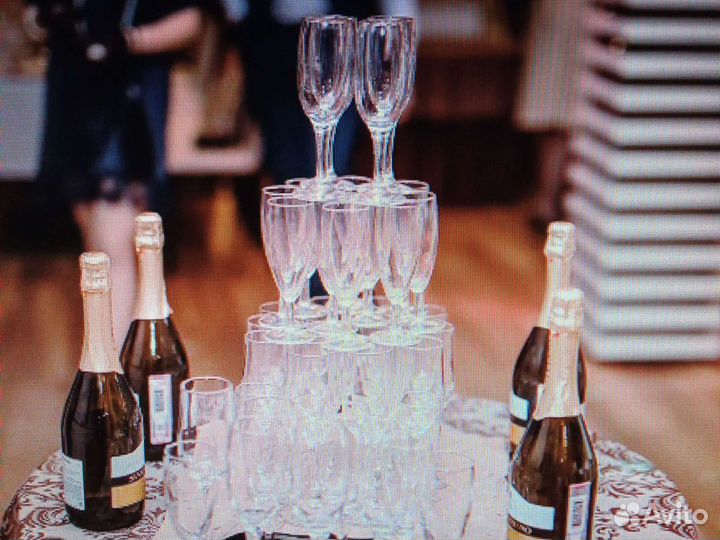 Ведущий тамада на свадьбу корпоратив