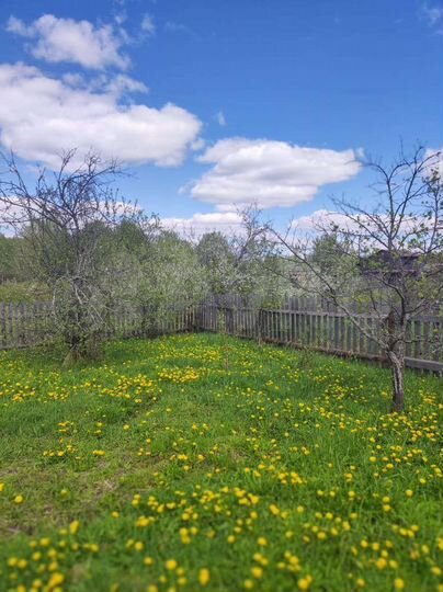 Участок 6 сот. (СНТ, ДНП)