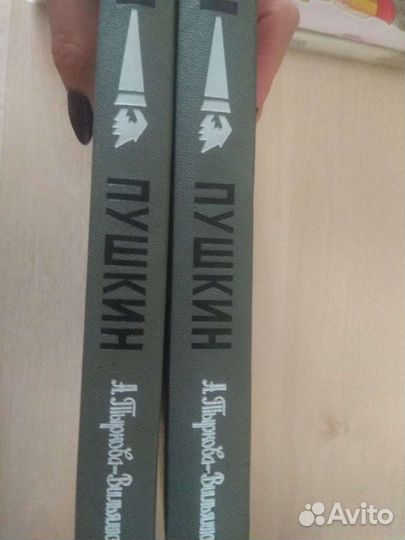 Биография А.С.Пушкина