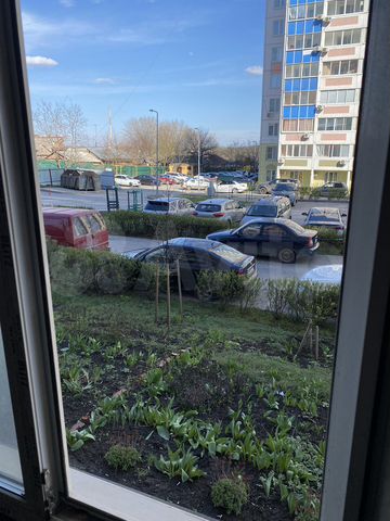 Квартира-студия, 24,5 м², 1/14 эт.