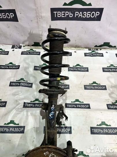 Амортизатор подвески - передний Ford Transit MK8