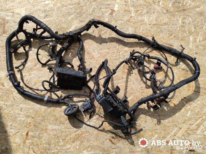 Проводка двигателя Nissan Primera P12 2004
