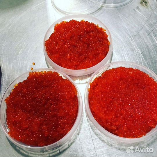Форель из Карелии