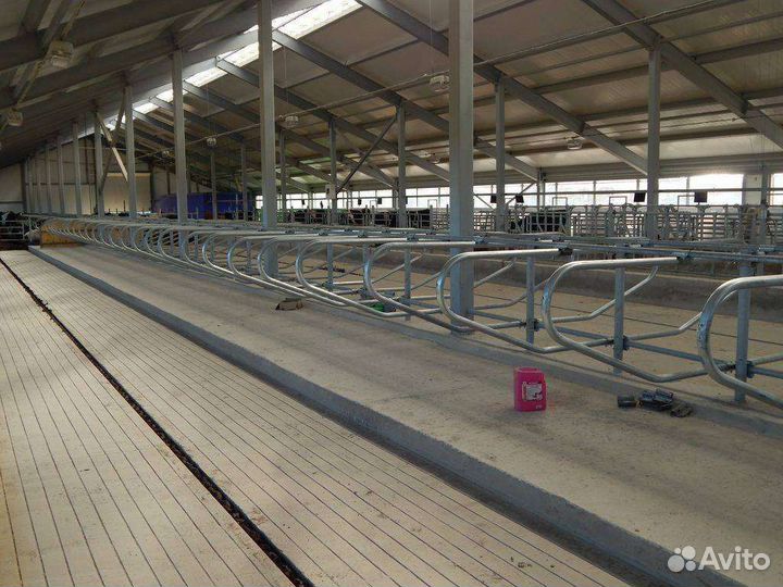 Стойловое оборудование для крс