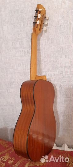 Гитара Torella (Herbert Schäffner)