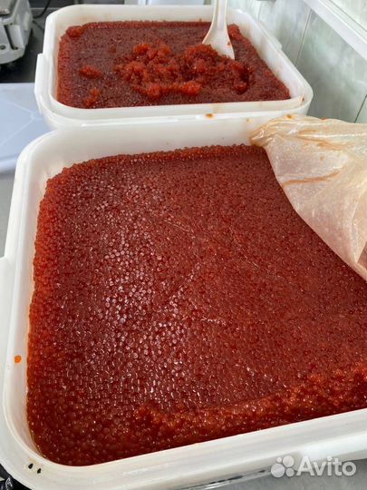 Красная икра Нерка,Кета,Горбуша 2023