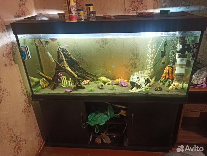 Аквариум со всем содержимым