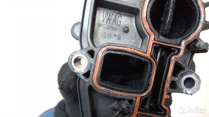 Коллектор впускной Volkswagen Passat CC, 2010