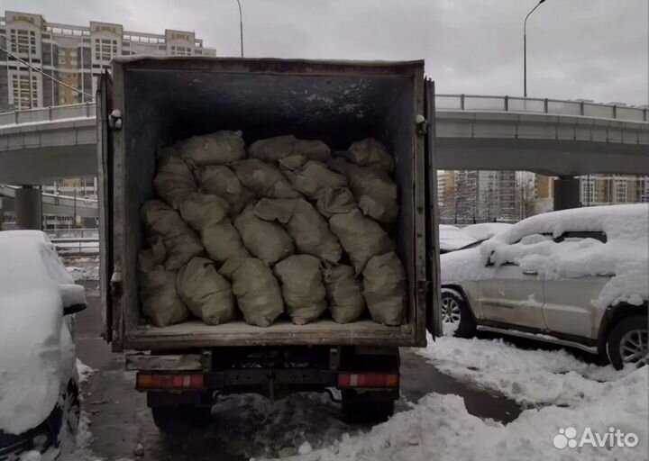 Вывоз мусора. Вывоз строительного мусора