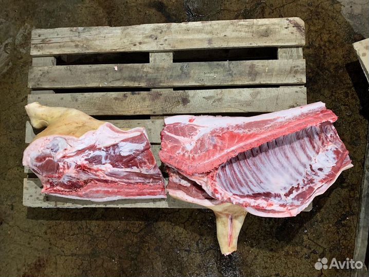 Мясо Домашние