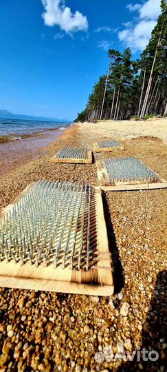 Доска садху