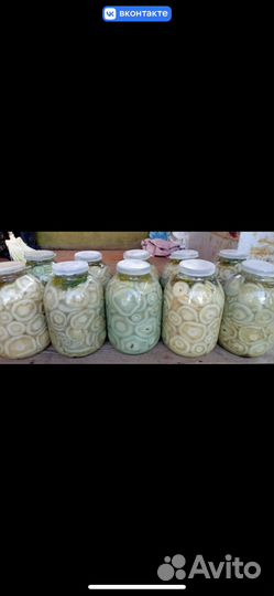 Грузди соленые