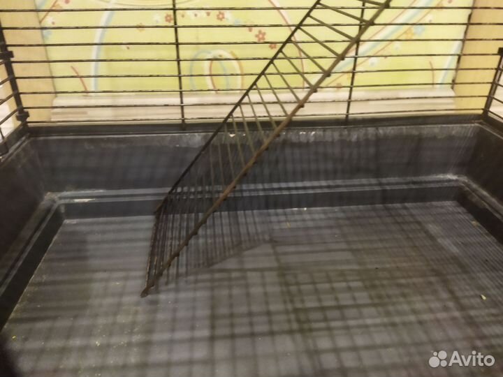 Клетка для грызунов бу