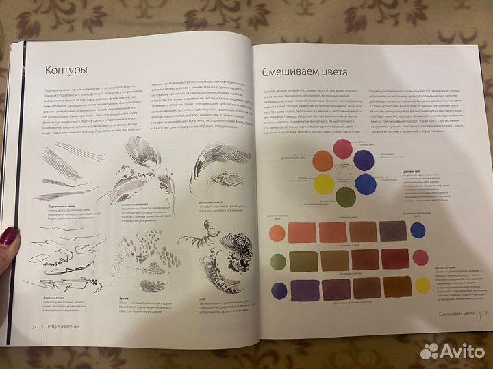 Ботаника для художника