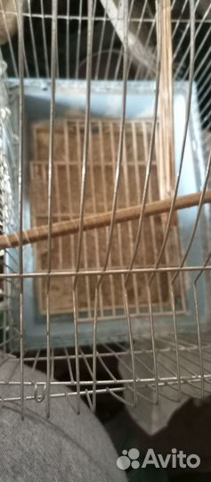 Клетка для птиц