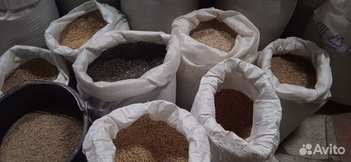 Зерно. Комбикорм. Корма для животных