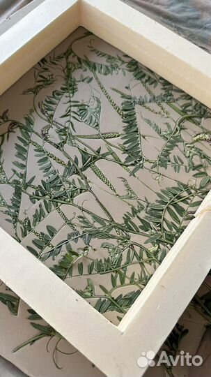 Глина серая для ботанического барельефа 5 кг