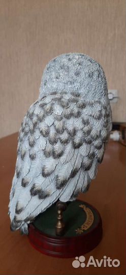 Гарри Поттер: Букля