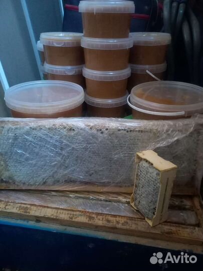 Мед в сотах