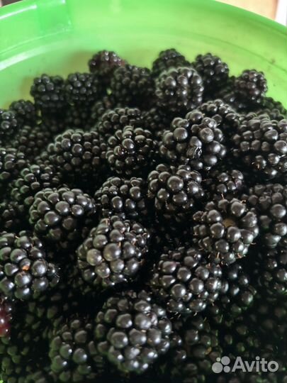 Ежевика замороженная, варенье,компот