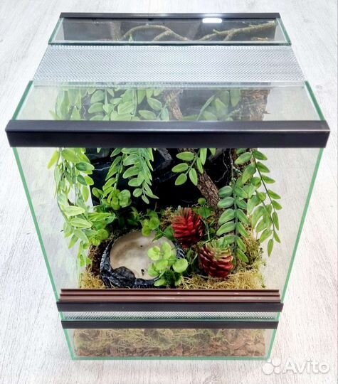 Бронь Готовый террариум для лягушек