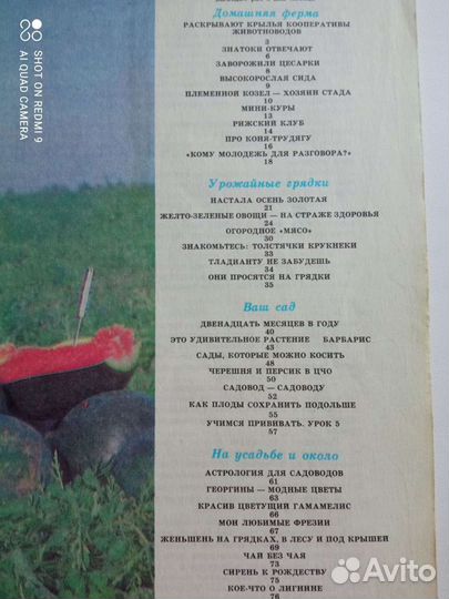 Приусадебное хозяйство