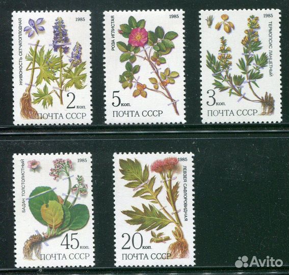 Почтовые марки СССР Флора Растения Грибы