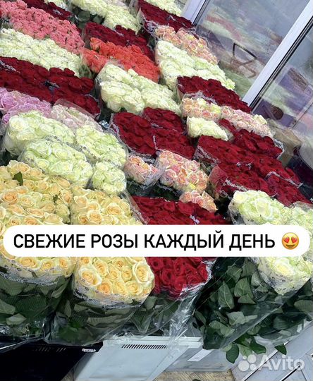 101 Роза 51 Роза цветы доставка розы