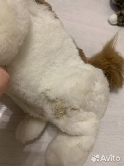 Интерактивная собака