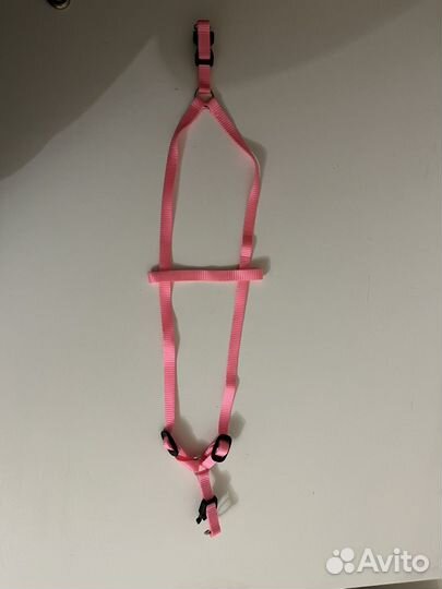 Шлейка для собаки