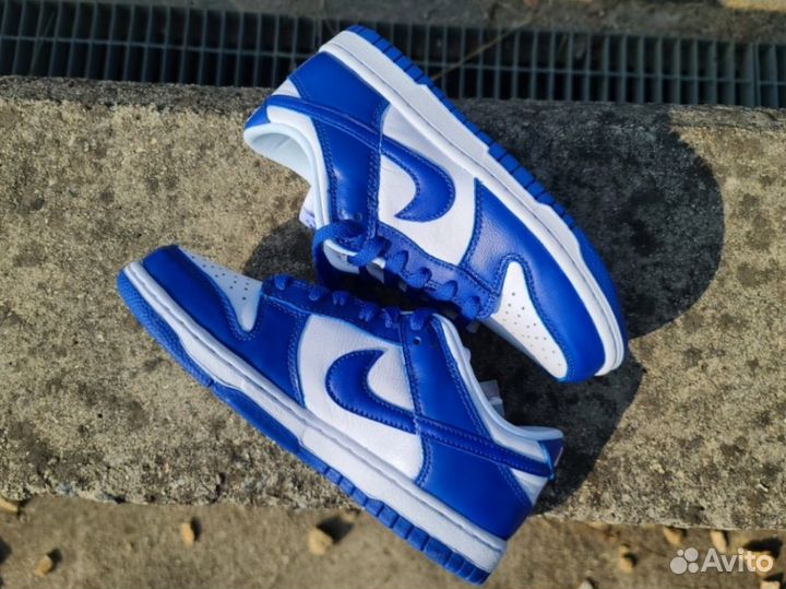 Кроссовки nike dunk low sp blue (cиние)