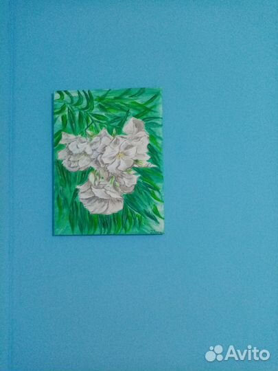 Белый олеандр