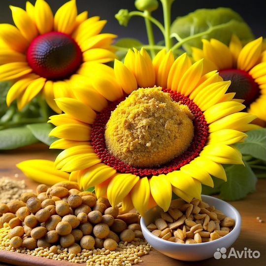 Шрот подсолнечный