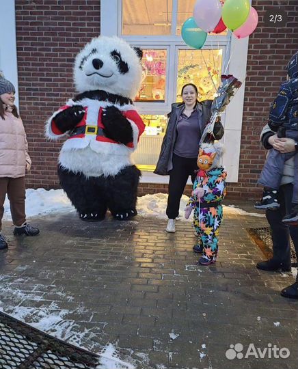 Мишка панда 2,60 м «живая открытка»
