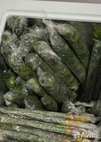 Банные веники