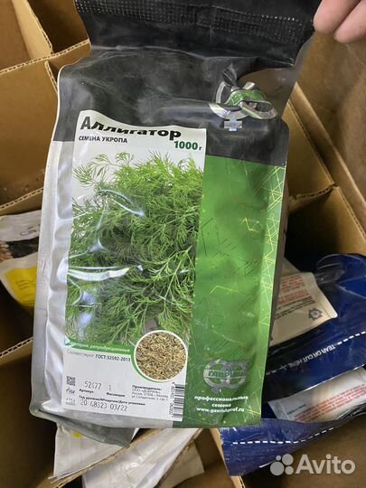 Семена укропа аллигатор