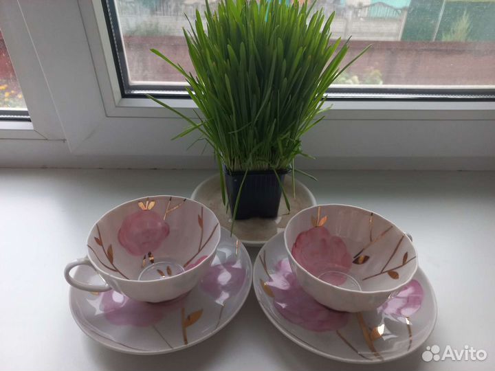 Чайная пара дулёво пионы