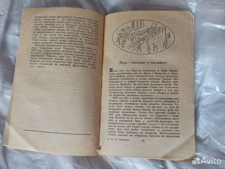 И. Трофимкин Ярослав Гашек, Биография писателя