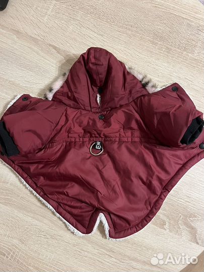 Одежда для собак