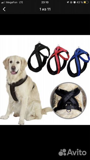Шлейка для средней собаки