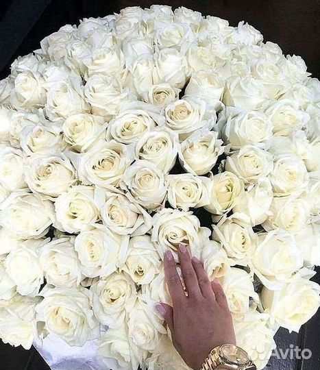 Высокие метровые розы