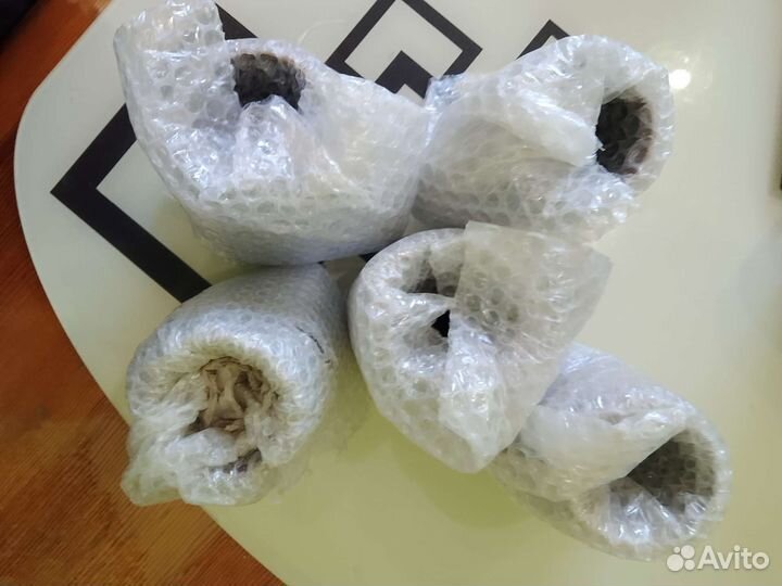 Пивная кружка 5шт