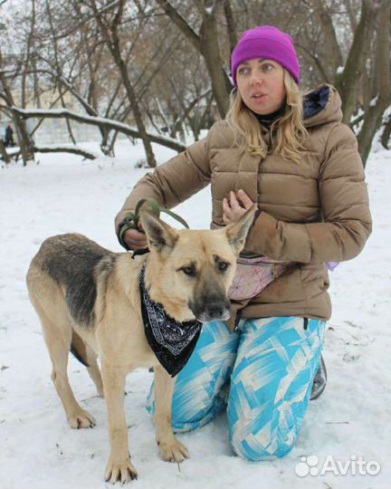 Звёздочка ждёт свою семью